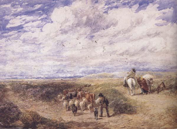 David Cox Keep the Left Road (mk47) Norge oil painting art